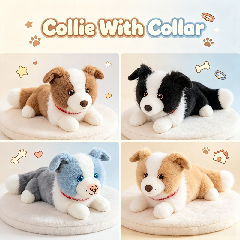 Collie With Collar